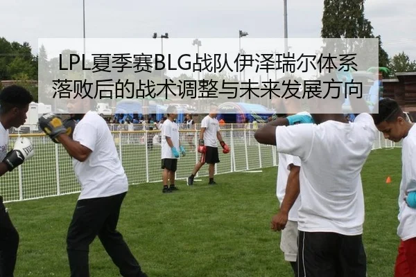 LPL夏季赛BLG战队伊泽瑞尔体系落败后的战术调整与未来发展方向