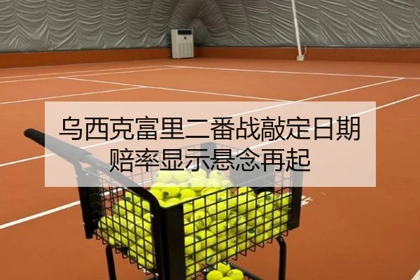 乌西克富里二番战敲定日期 赔率显示悬念再起